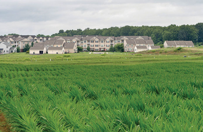 Land trusts lend a helping hand to local-level conservation projects